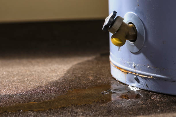 Best Flood damage cleanup  in Branchville, SC
