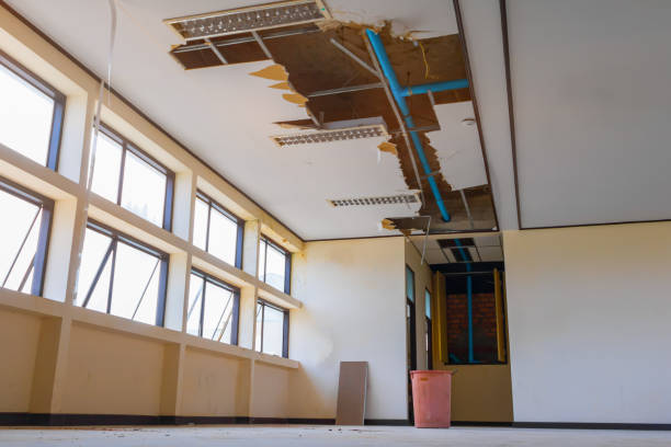 Best Water damage restoration near me  in Branchville, SC