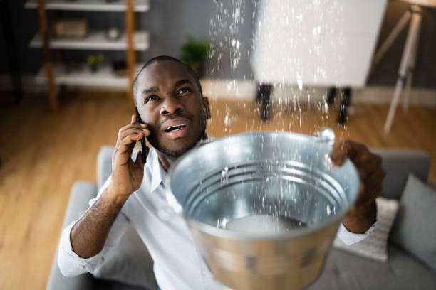 Best Water damage restoration process  in Branchville, SC