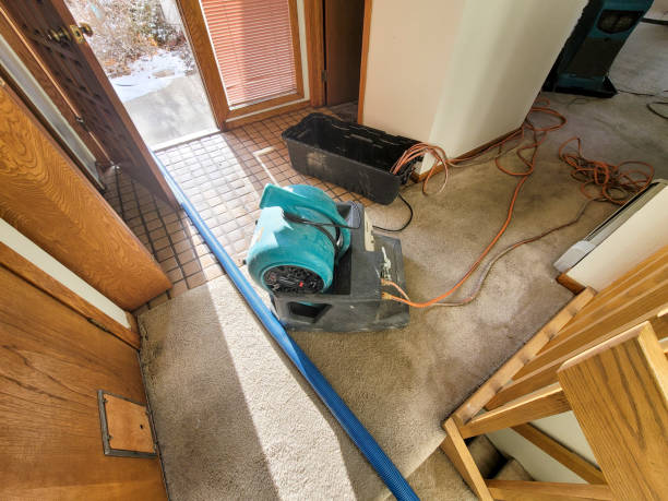 Best Local water damage restoration  in Branchville, SC