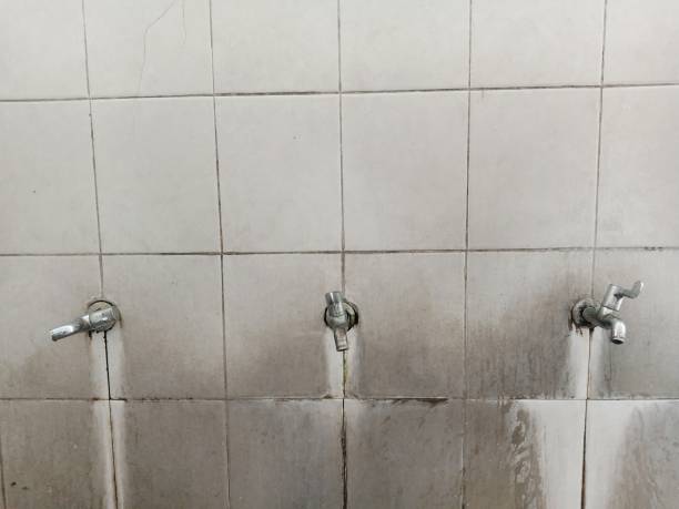 Best Water damage restoration cost  in Branchville, SC