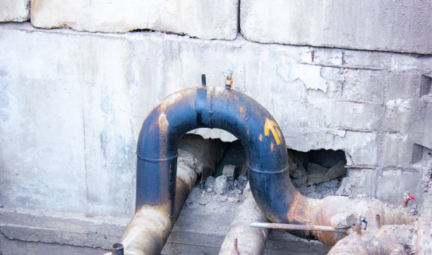 Best Emergency water damage restoration  in Branchville, SC