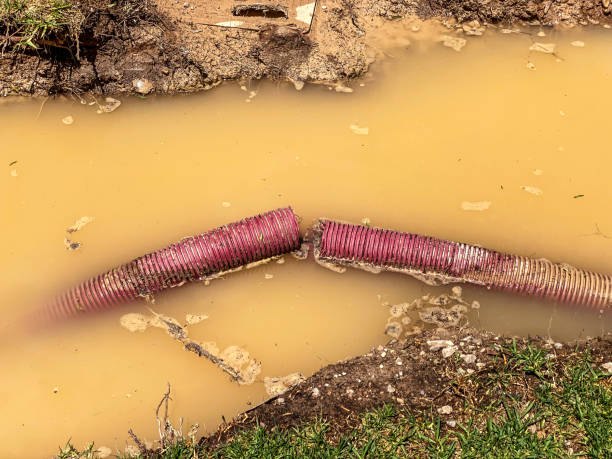 Best Water damage restoration near me  in Branchville, SC