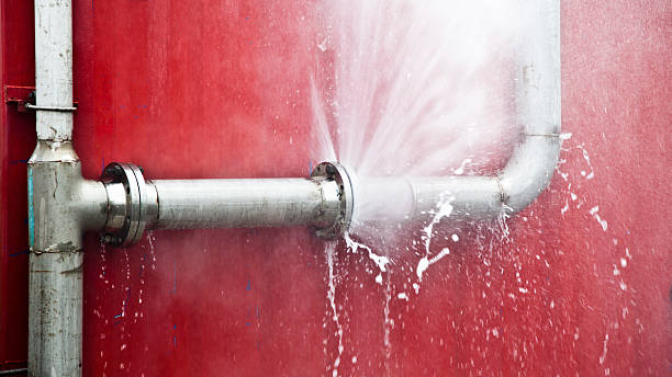 Best 24-hour water damage restoration  in Branchville, SC