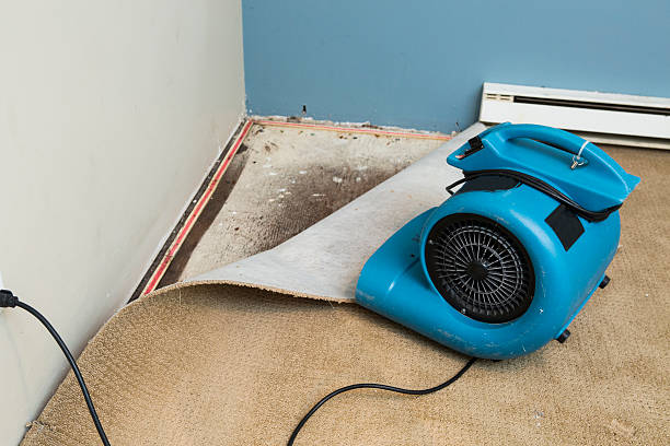 Best Water damage restoration near me  in Branchville, SC